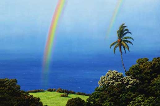 Double Rainbow by Harry Wishard
