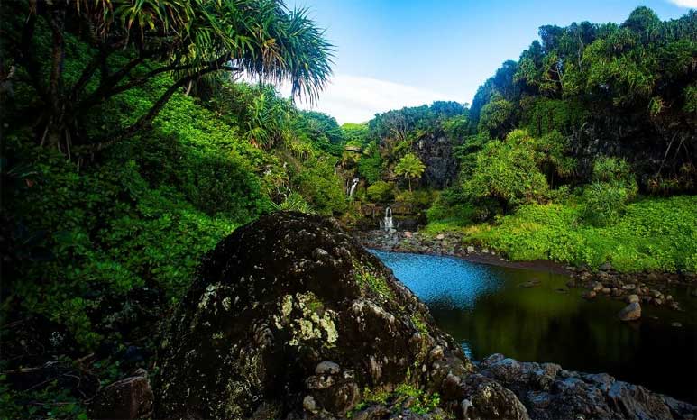 Oheo Gulch in the Kipahulu District of Haleakala