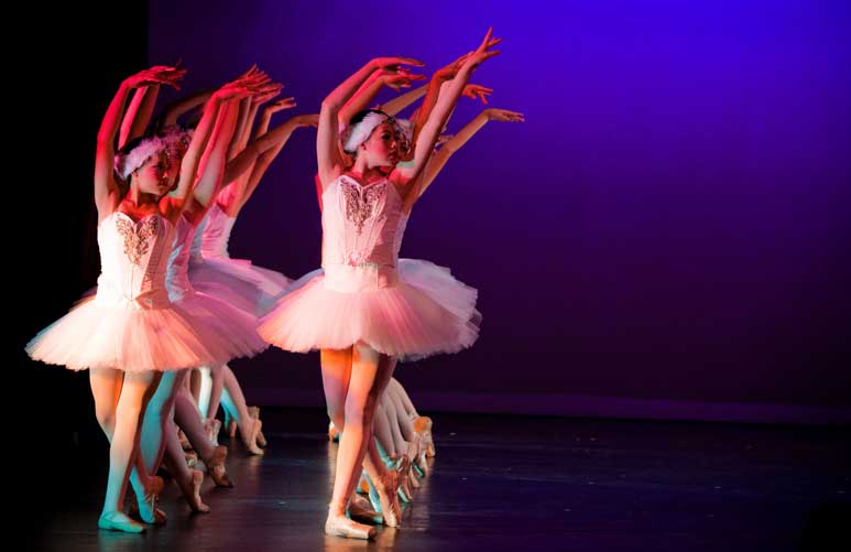 Swan Lake at Seabury Hall on Maui
